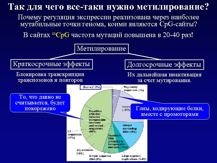 Так для чего все-таки нужно метилирование? Почему регуляция экспрессии реализована через наиболее мутабильные точки