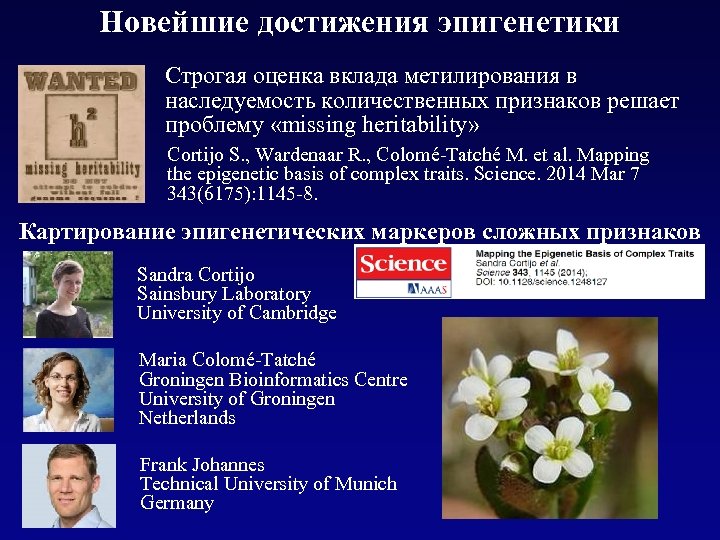 Презентация по эпигенетике