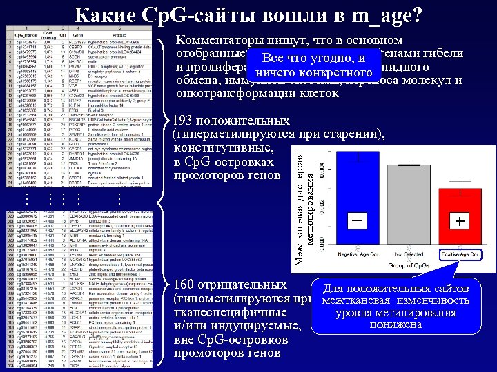 Какие Cp. G-сайты вошли в m_age? Комментаторы пишут, что в основном отобранные Cp. G-сайты
