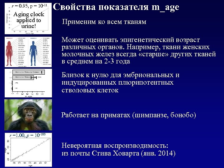 r = 0. 95, p = 10 -11 Aging clock applied to urine! Свойства
