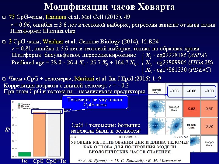 Модификации часов Ховарта q 73 Cp. G-часы, Hannum et al. Mol Cell (2013), 49