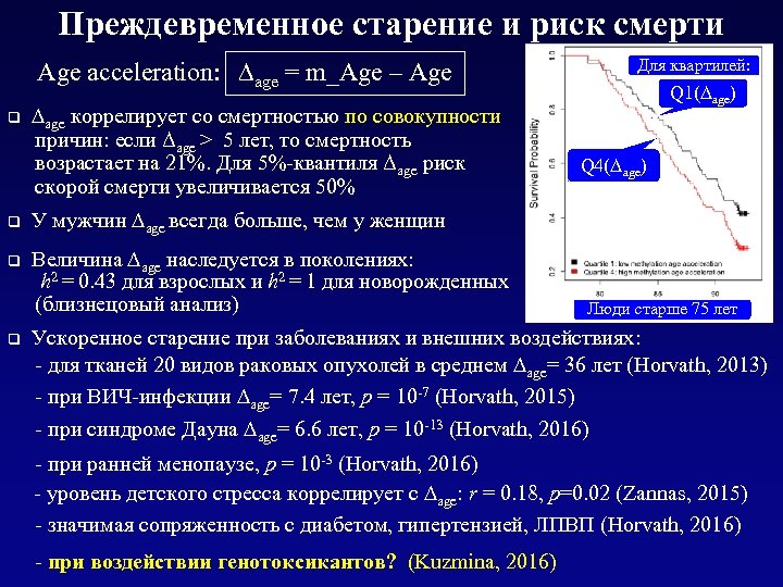 Преждевременное старение и риск смерти Age acceleration: age = m_Age – Age Для квартилей: