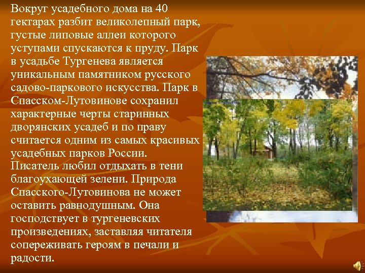 Вокруг усадебного дома на 40 гектарах разбит великолепный парк, густые липовые аллеи которого уступами