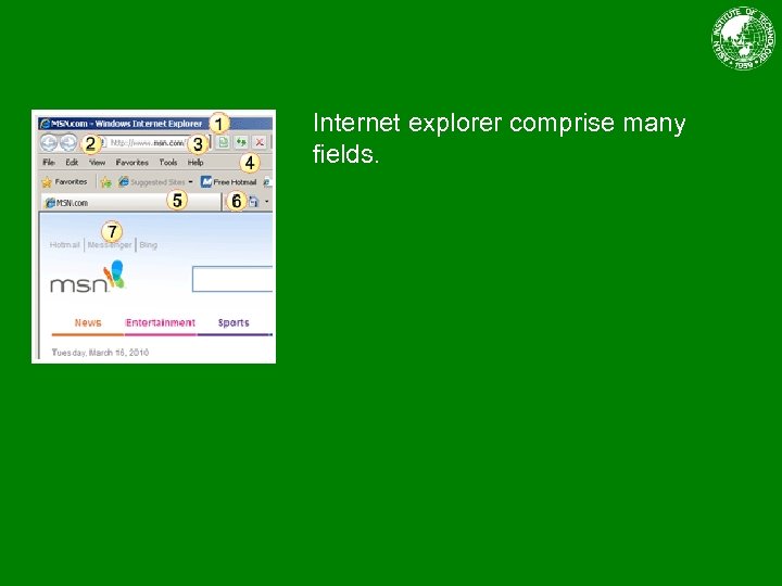 Internet explorer comprise many fields. 