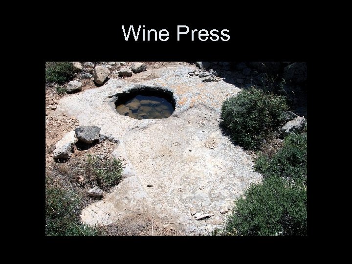 Wine Press 