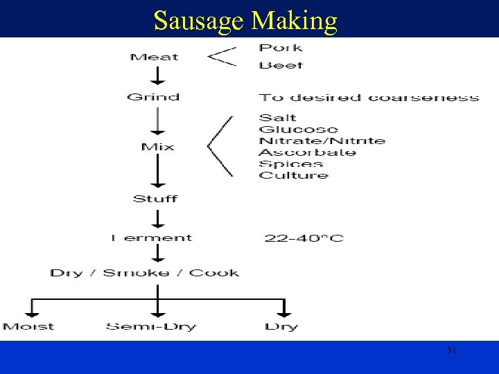 Sausage Making 31 