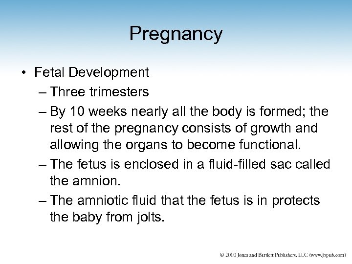 Pregnancy • Fetal Development – Three trimesters – By 10 weeks nearly all the
