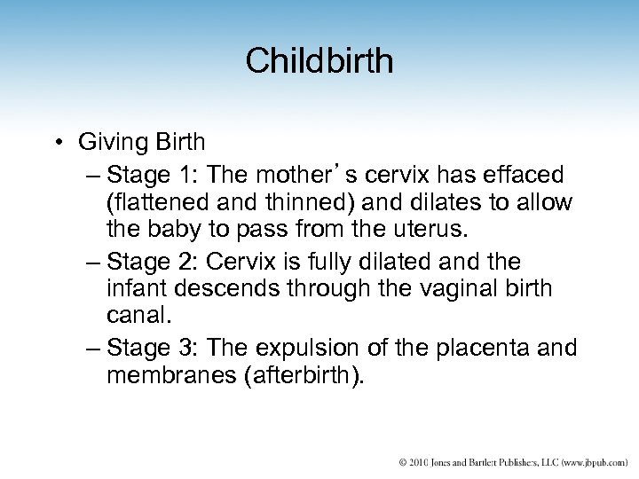 Childbirth • Giving Birth – Stage 1: The mother’s cervix has effaced (flattened and