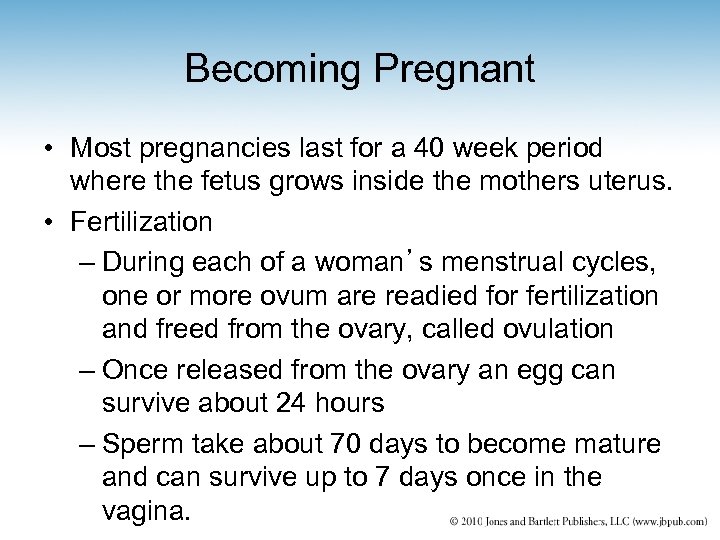 Becoming Pregnant • Most pregnancies last for a 40 week period where the fetus