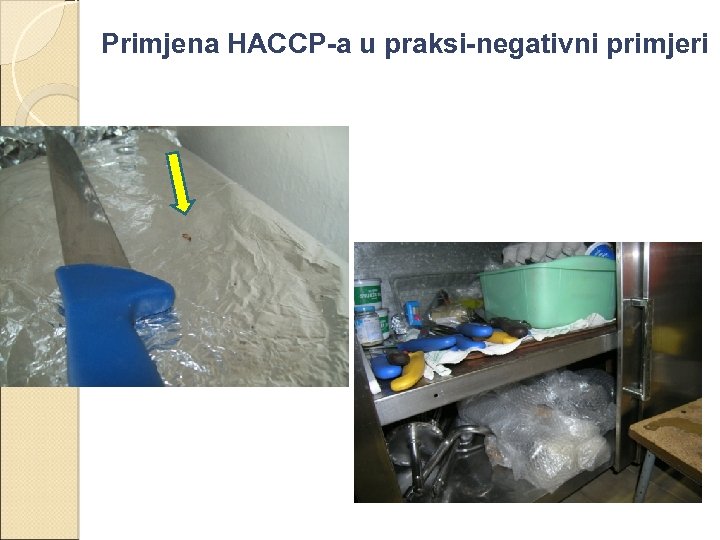 Primjena HACCP-a u praksi-negativni primjeri 