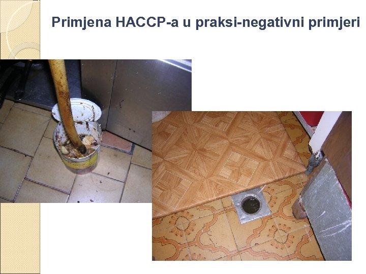 Primjena HACCP-a u praksi-negativni primjeri 