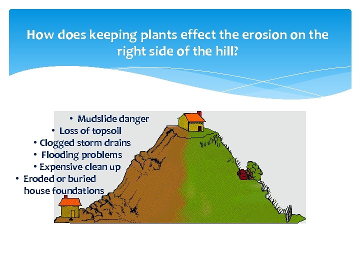 How does keeping plants effect the erosion on the right side of the hill?