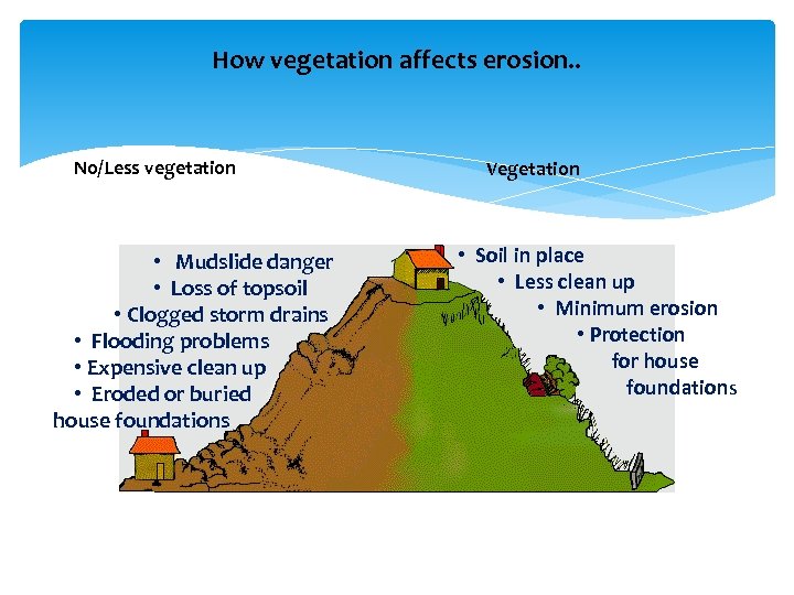 How vegetation affects erosion. . No/Less vegetation • Mudslide danger • Loss of topsoil