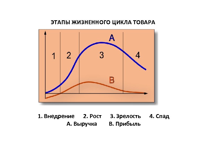 Этапы жизненного цикла товара. Стадии (фазы) жизненного цикла товара. 4 Стадии жизненного цикла товара. Стадия зрелости жизненного цикла товара характеризуется. Теория жизненного цикла продукта фазы.