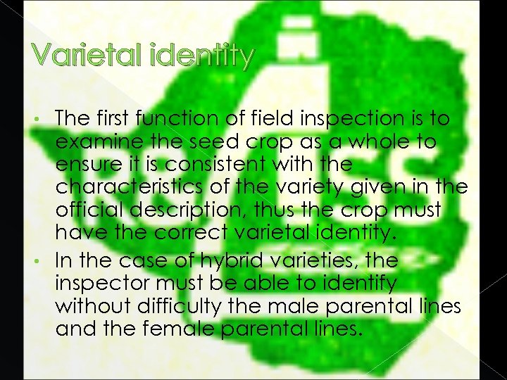 Varietal identity The first function of field inspection is to examine the seed crop