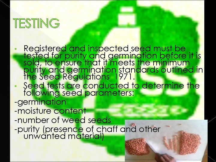 TESTING Registered and inspected seed must be tested for purity and germination before it