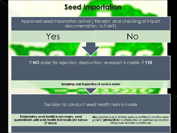 Seed Importation Approved seed importation arrival ( Receipt and checking of import documentation ;
