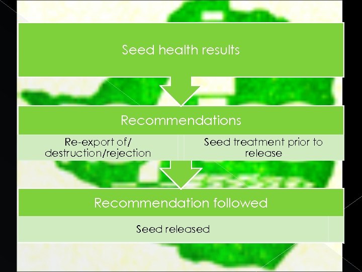 Seed health results Recommendations Re-export of/ destruction/rejection Seed treatment prior to release Recommendation followed