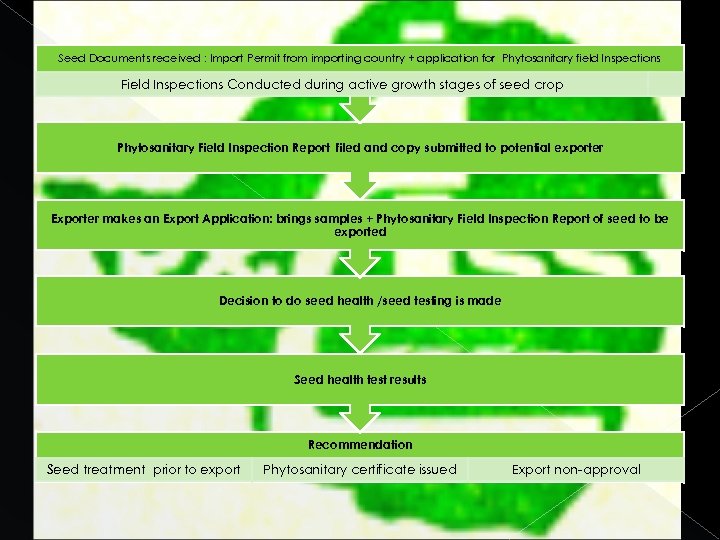 Seed Documents received : Import Permit from importing country + application for Phytosanitary field