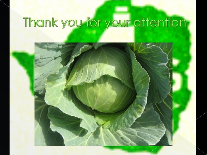 Thank you for your attention 