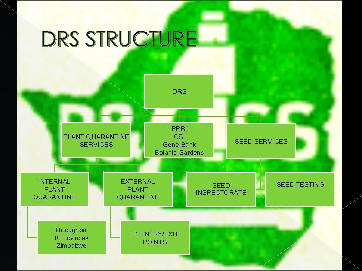 DRS STRUCTURE DRS PLANT QUARANTINE SERVICES INTERNAL PLANT QUARANTINE Throughout 8 Provinces Zimbabwe PPRI