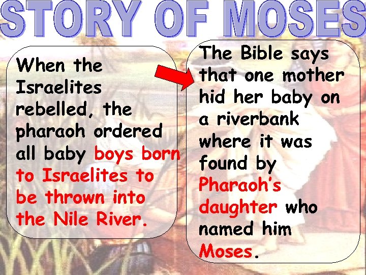 When the Israelites rebelled, the pharaoh ordered all baby boys born to Israelites to