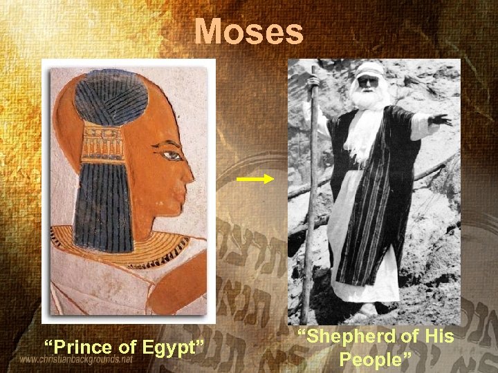 Moses “Prince of Egypt” “Shepherd of His People” 