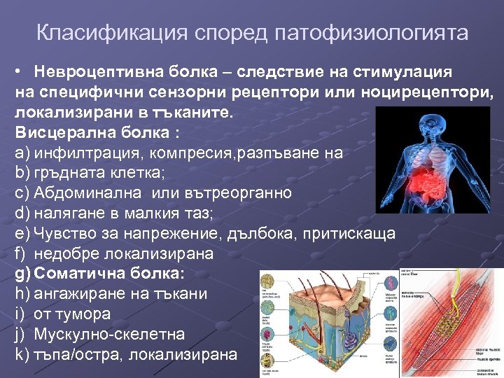 Класификация според патофизиологията • Невроцептивна болка – следствие на стимулация на специфични сензорни рецептори