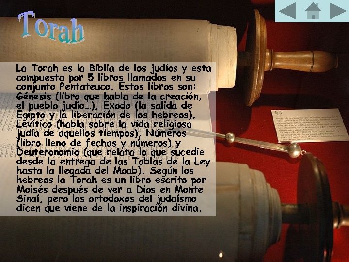 La Torah es la Biblia de los judíos y esta compuesta por 5 libros