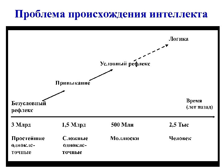 Проблема происхождения интеллекта 