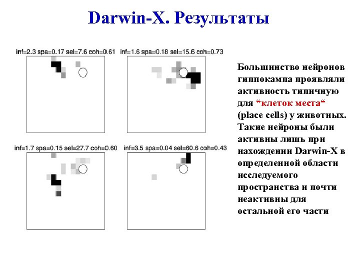 Darwin-X. Результаты Большинство нейронов гиппокампа проявляли активность типичную для “клеток места“ (place cells) у