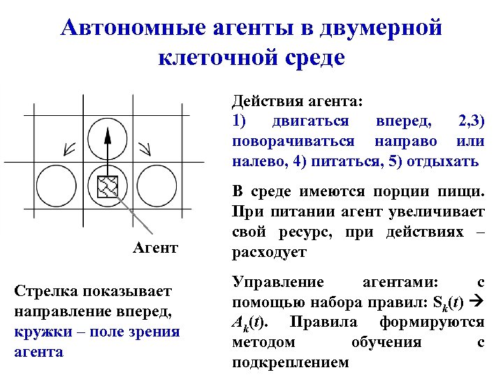 Автономные агенты в двумерной клеточной среде Действия агента: 1) двигаться вперед, 2, 3) поворачиваться