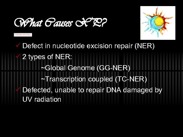 What Causes XP? ü Defect in nucleotide excision repair (NER) ü 2 types of