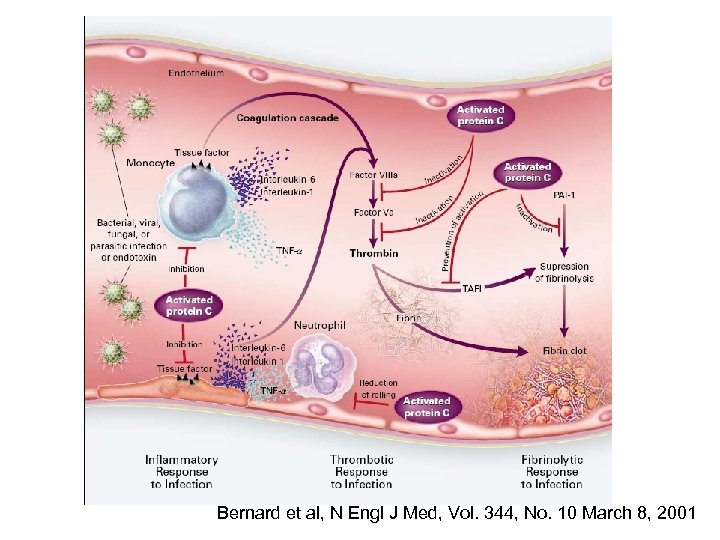 Bernard et al, N Engl J Med, Vol. 344, No. 10 March 8, 2001