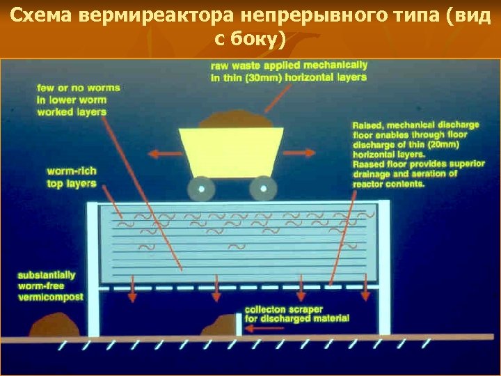 Схема вермиреактора непрерывного типа (вид с боку) 