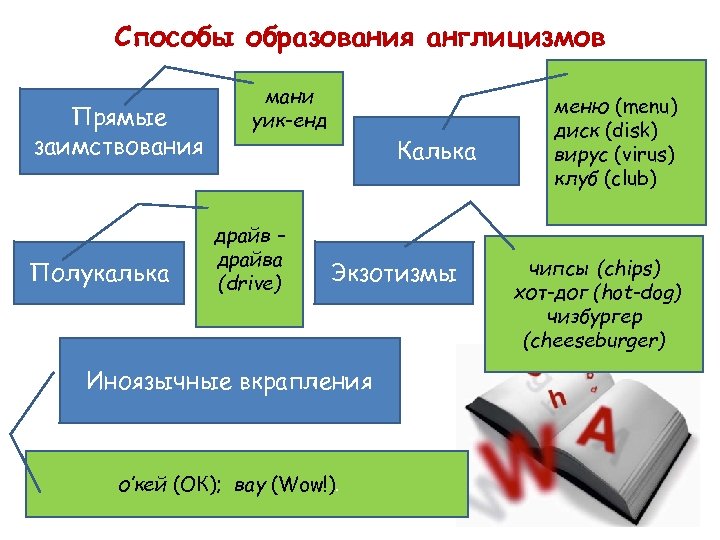 Способы образования англицизмов Прямые заимствования Полукалька мани уик-енд драйв – драйва (drive) Калька Экзотизмы