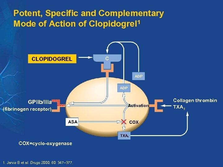 Potent, Specific and Complementary Mode of Action of Clopidogrel 1 CLOPIDOGREL C ADP GPllb/llla