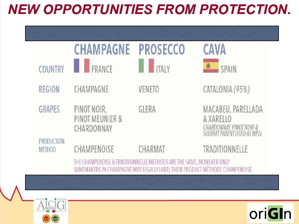 NEW OPPORTUNITIES FROM PROTECTION. 