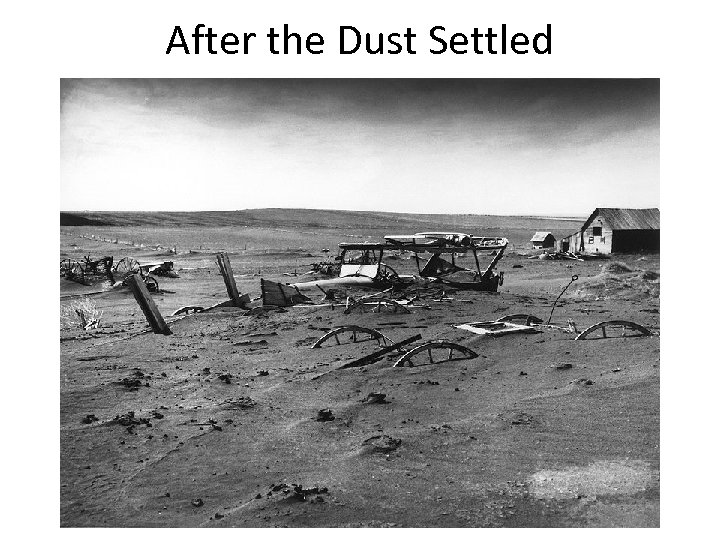 After the Dust Settled 