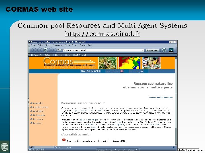 CORMAS web site Common-pool Resources and Multi-Agent Systems http: //cormas. cirad. fr CORMAS -
