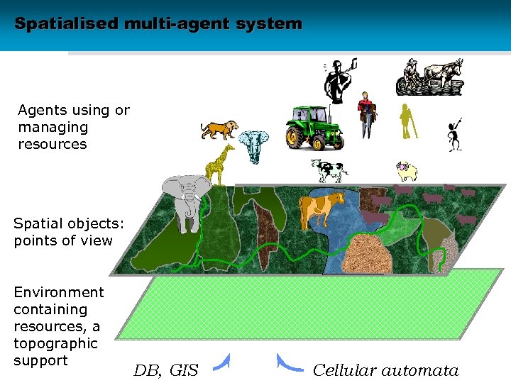 Spatialised multi-agent system Agents using or managing resources Spatial objects: points of view Environment