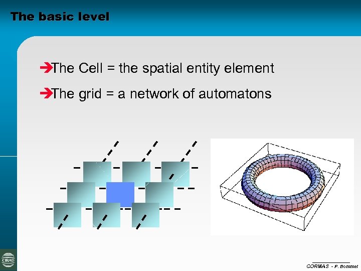 The basic level è The Cell = the spatial entity element è The grid