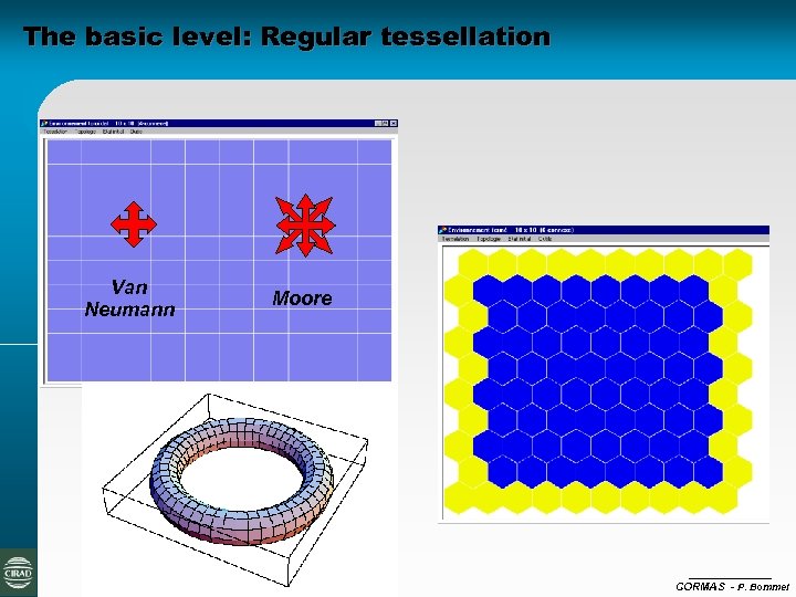 The basic level: Regular tessellation Van Neumann Moore CORMAS - P. Bommel 