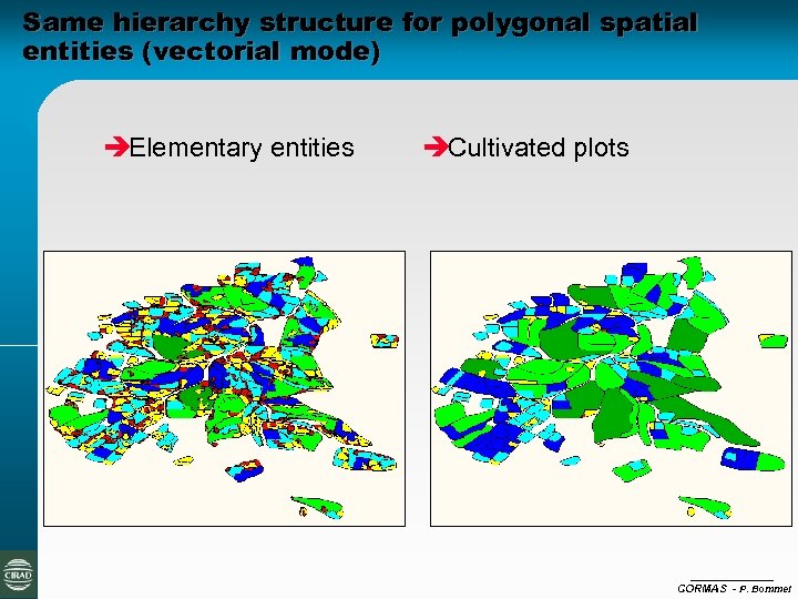 Same hierarchy structure for polygonal spatial entities (vectorial mode) èElementary entities èCultivated plots CORMAS