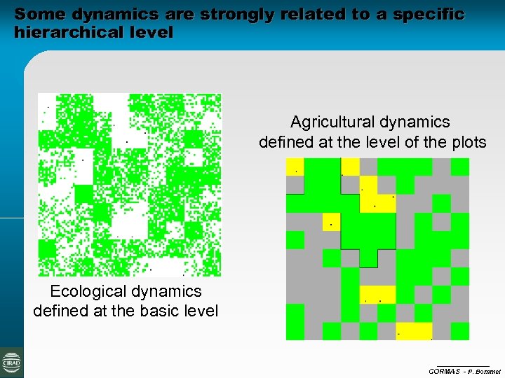 Some dynamics are strongly related to a specific hierarchical level Agricultural dynamics defined at