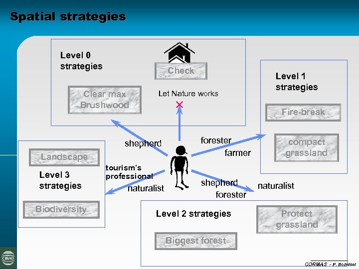 Spatial strategies Level 0 strategies Check Clear max Brushwood Let Nature works Fire-break shepherd