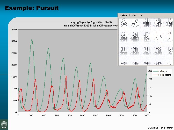 Exemple: Pursuit CORMAS - P. Bommel 