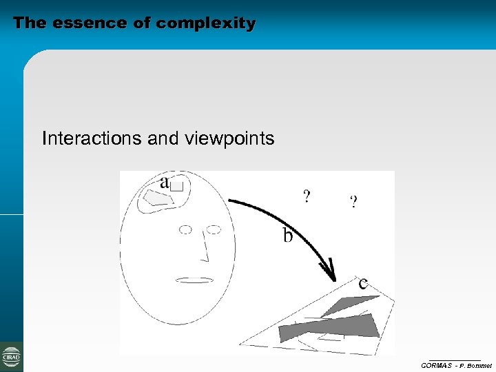The essence of complexity Interactions and viewpoints CORMAS - P. Bommel 