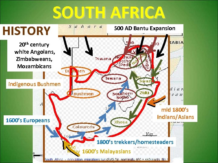 HISTORY SOUTH AFRICA 500 AD Bantu Expansion 20 th century white Angolans, Zimbabweans, Mozambicans