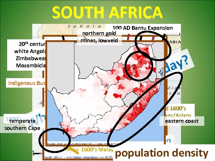 SOUTH AFRICA 20 th century white Angolans, Zimbabweans, Mozambicians 500 AD Bantu Expansion northern